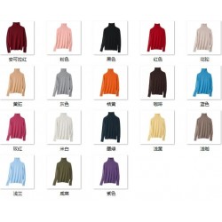 Turtleneck Solid Color Women's Top