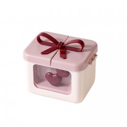 Household Desktop Plastic Makeup Organizer Lipstick Storage Box and Holder for Gift