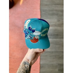 VINTAGE 90s CHARLOTTE HORNETS TWINS BIG LOGO NBA SNAPBACK HAT CAP RARE RESHAPED