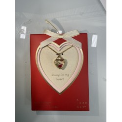 50pcs Heart Pendant Necklace Bundle Lot Target Distributed