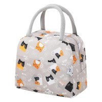 Insulated Lunch Bag for Adults - Leakproof Thermal Lunch Box Tote with Cute Cartoon Design